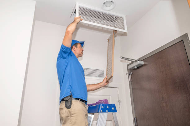 Best Best Air Duct Cleaning Company  in Cheswold, DE